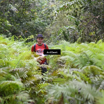 Runner Photo 8562048