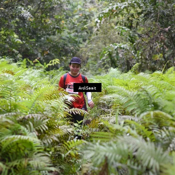 Runner Photo 8562055