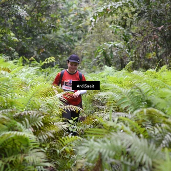 Runner Photo 8562059