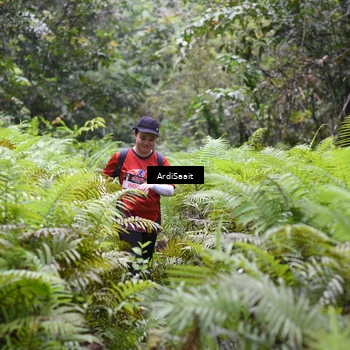 Runner Photo 8562065