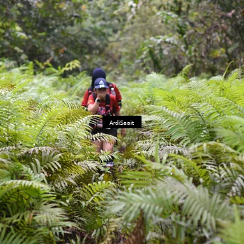 Runner Photo 8562175