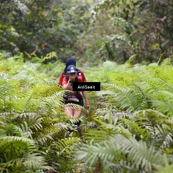 Runner Photo 8562181