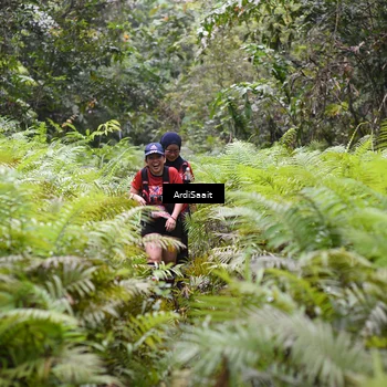 Runner Photo 8562191