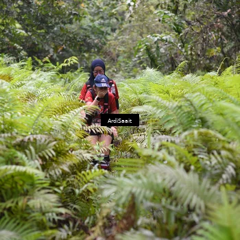 Runner Photo 8562193