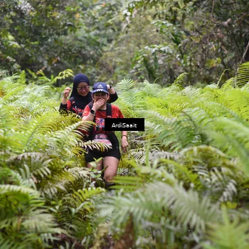 Runner Photo 8562236