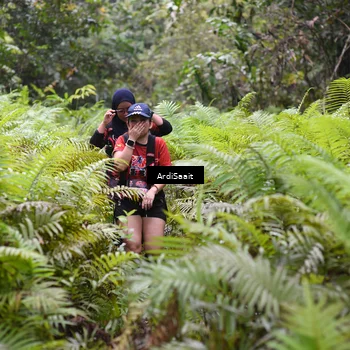 Runner Photo 8562238