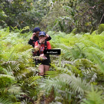 Runner Photo 8562240