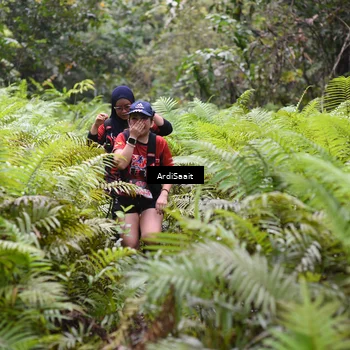 Runner Photo 8562271
