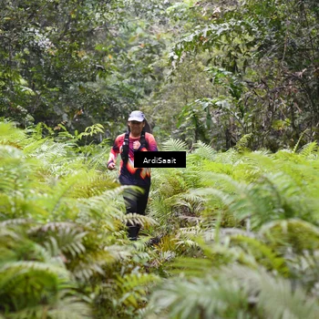 Runner Photo 8562406