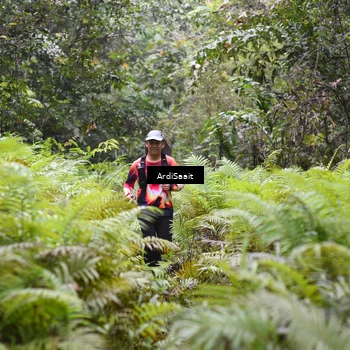Runner Photo 8562412