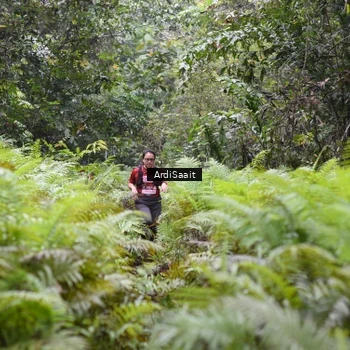 Runner Photo 8562524