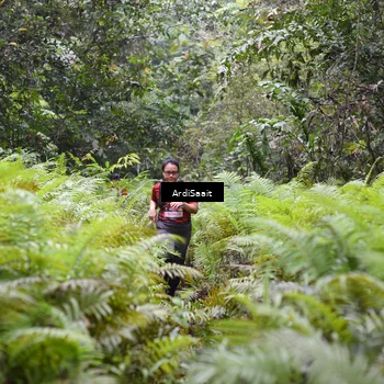 Runner Photo 8562548