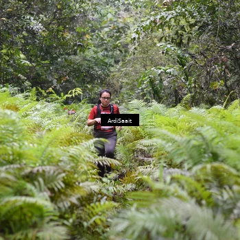 Runner Photo 8562554