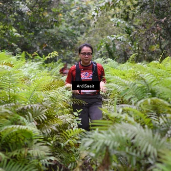 Runner Photo 8562584