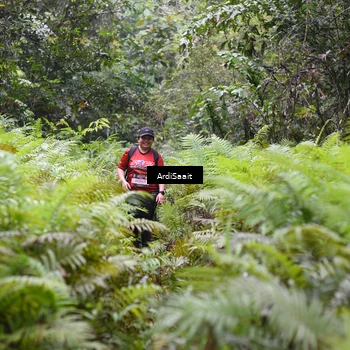 Runner Photo 8562615