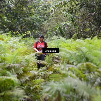 Runner Photo 8562629