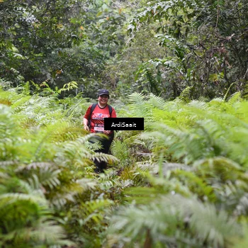 Runner Photo 8562633