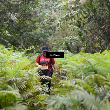 Runner Photo 8562652