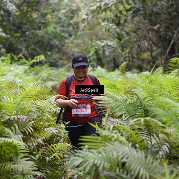 Runner Photo 8562670