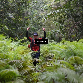 Runner Photo 8562722