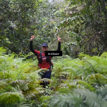 Runner Photo 8562729