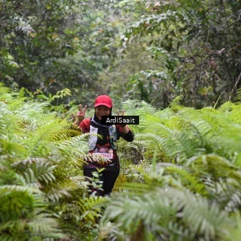 Runner Photo 8562914
