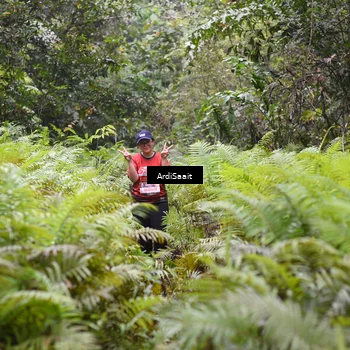 Runner Photo 8563073