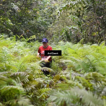Runner Photo 8563080