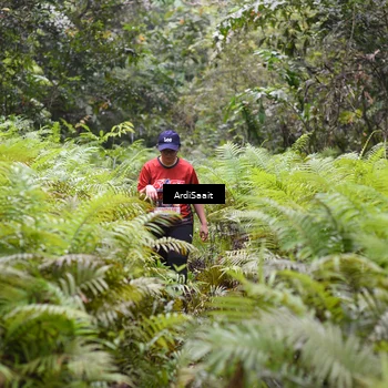 Runner Photo 8563084