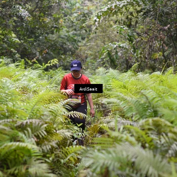 Runner Photo 8563090