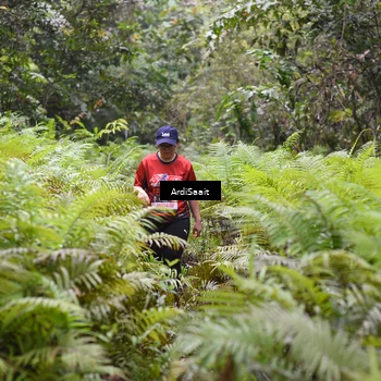 Runner Photo 8563093