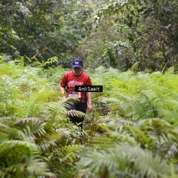 Runner Photo 8563096