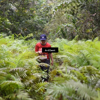 Runner Photo 8563100