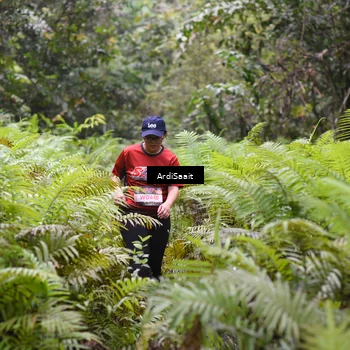 Runner Photo 8563105