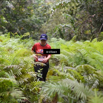 Runner Photo 8563107