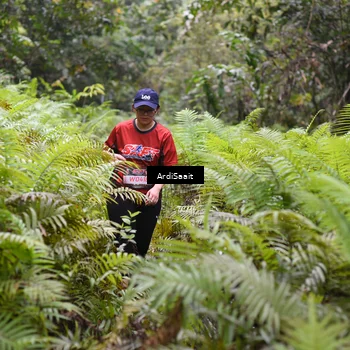 Runner Photo 8563112