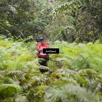Runner Photo 8563164