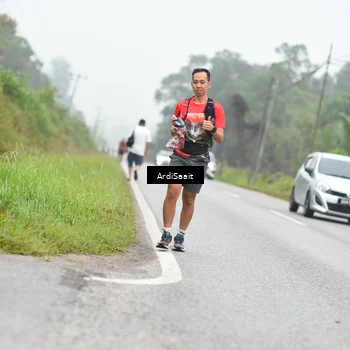 Runner Photo 8563215