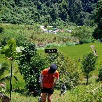 Runner Photo 85639