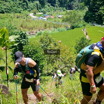 Runner Photo 85669
