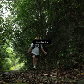 Runner Photo 8571062