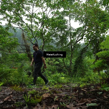 Runner Photo 8571107