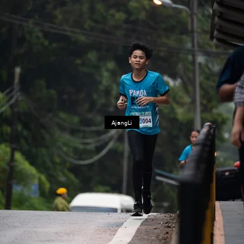 Runner Photo 8574152
