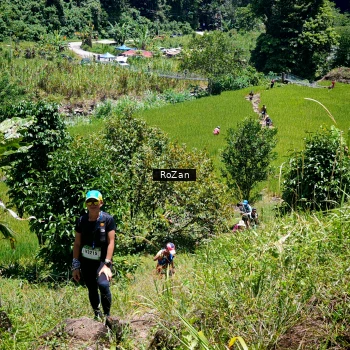 Runner Photo 85756