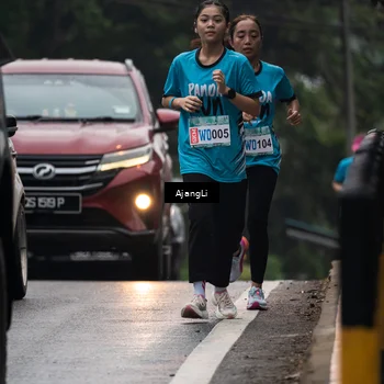 Runner Photo 8577433