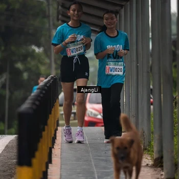 Runner Photo 8577639