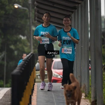 Runner Photo 8577643