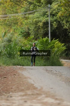 Runner Photo 85783