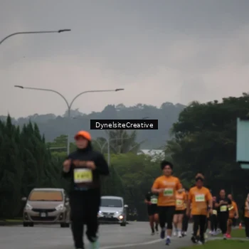 Runner Photo 8578807