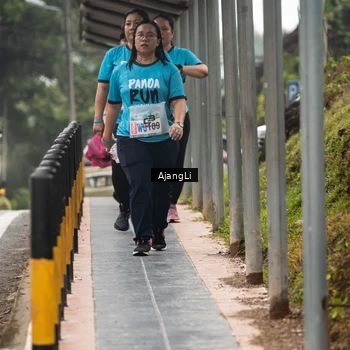 Runner Photo 8594841
